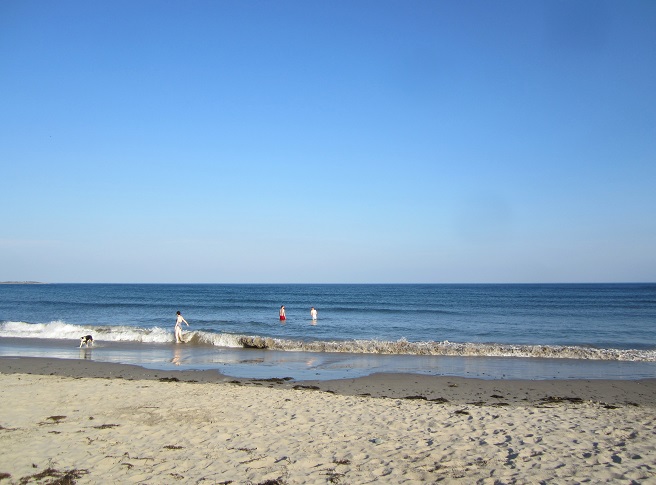 three people and a dog playing in the surf at Clam Harbour Beach, Nova Scotia